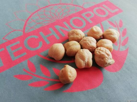 Chickpeas ( Size : 5 6 7 8 9 10 )
