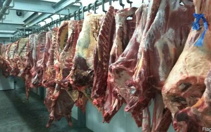 Говядина Halal (только экспорт)