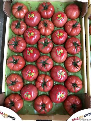 Овощи 2018/2019 новый сезон от фабрики babacan import export