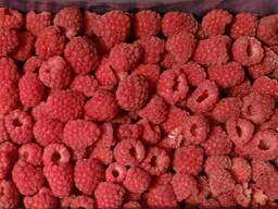 Ahududu Belarus dondurulmuş GRIS, EKSTRA. fotoğraf, video