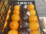 Апельсин - фото 3