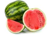 Watermelons from Uzbekistan - photo 1