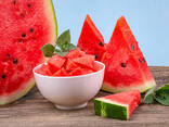 Watermelons from Uzbekistan - photo 2