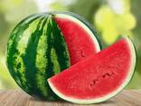 Watermelons from Uzbekistan - photo 3