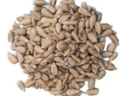 Sunflower Seeds bulk supply wholesale cheap price premium quality snack