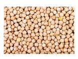 Organic Kabuli Chickpeas 7mm-9mm France Origin 10kg Low Price for Healthy Eating - фото 2
