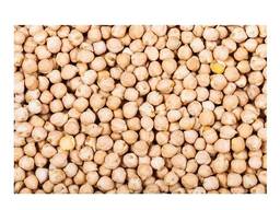 Chickpeas for Sale Dried Raw 7mm 8mm 9mm 10mm 11mm 12mm Max Bag White