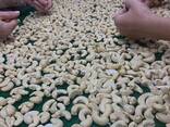 Cashew Nuts from Vietnam - photo 3