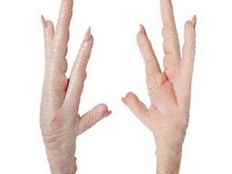Cheap Frozen Chicken Paw