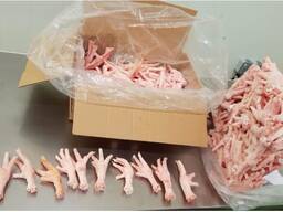 Chicken Feet and chicken paws and whole halal chicken at the best prices with prompt shipp