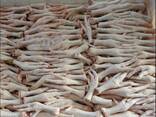 Chicken Feet and chicken paws and whole halal chicken at the best prices with prompt shipp - photo 1