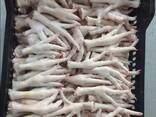 Chicken Feet and chicken paws and whole halal chicken at the best prices with prompt shipp - photo 2