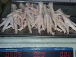 Chicken Feet and chicken paws and whole halal chicken at the best prices with prompt shipp - photo 3