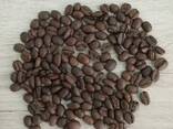 Coffee - photo 4