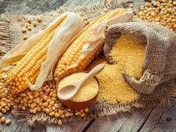 Corn wholesale export (mısır toptan satış ihracatı)