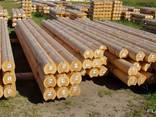 Cylindered logs for wooden houses (rounded logs)