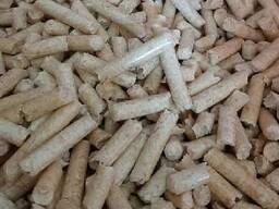 Din A1 and A2 wood pellets for sale