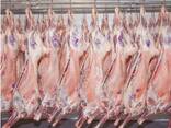 Et ihracatı - photo 2