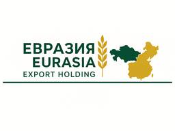 Eurasia Export Holding — Kazakistan merkezli ihracat şirketi
