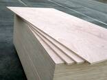 Birch plywood 1525 х 1525 мм (WBP) (MR ) - фото 3
