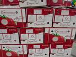 Fresh Dragon Fruit from Vietnam - photo 1