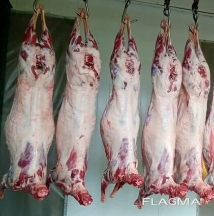 Frozen lamb and mutton