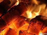 Fuel peat briquettes (peat briquettes)