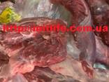 Говядина без кости Мясо Украина fca cif fob daf Бык Корова - photo 2