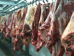 Говядина Halal (только экспорт)