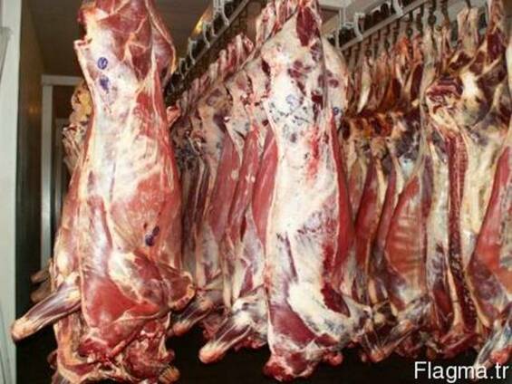 Говядина полутуша, блочное мясо. Замороженное, охлажденное.