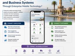 Hire Dedicated Enterprise Software Engineers in Turkey for Integrated Mobile Business Syst
