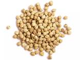 Organic Kabuli Chickpeas 7mm-9mm France Origin 10kg Low Price for Healthy Eating - фото 1