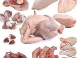 Курица Халяль тушка, части Halal chicken wholesale Ukraine много