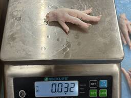 Куриные лапки chiken paws Турция