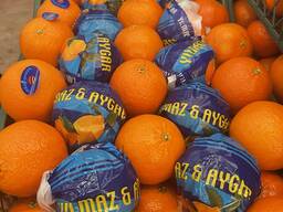 Мандарин нова