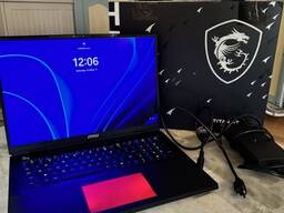MSI Vector 17 4 TB SSD QHD 240 Hz Win11 Pro Dizüstü Bilgisayar