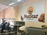 «NutStar» - a leading walnut factory in Ukraine for SALE
