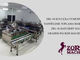 Оборудование для сортировки яиц Zorel ZRM-36