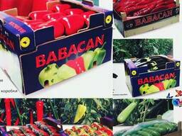 Овощи 2017 новый сезон от фабрики babacan import export