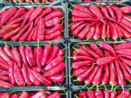 Перец Капия