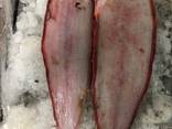 Продажа оптом морской рыбы из Африки в любую страну - фото 5