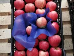 Различные фрукты и овощи от производителя.