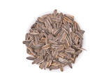Seeds original sunflower seeds Wholesale Dried Sunflower Kernels - фото 1