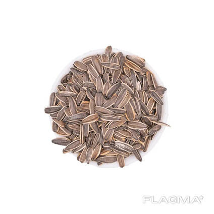 Seeds original sunflower seeds Wholesale Dried Sunflower Kernels