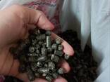 Sunflower husk pellets - photo 1