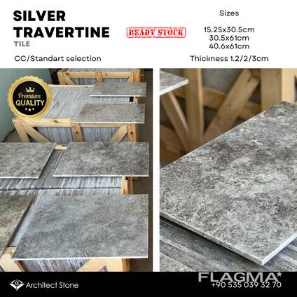 Travertine Silver