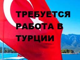 Требуется помощь в Трудоустройстве
