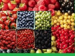 Услуги по продажам и закупкам товаров.