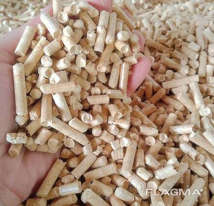 EN plus Wood Pellets A1