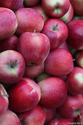 Яблоки , apple